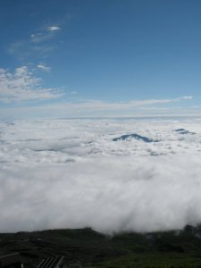 36008_1273576414438_1272741_n