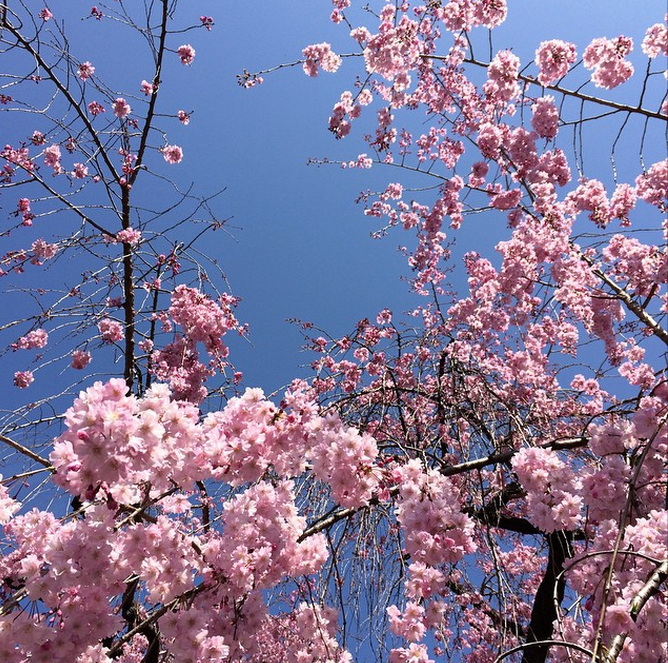 Screen Shot 2015-04-07 at 4.14.40 PM