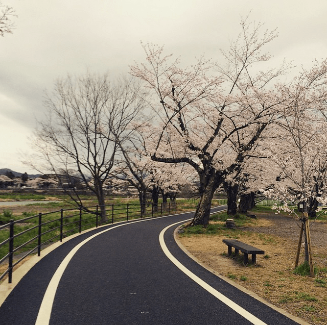 Screen Shot 2015-04-07 at 4.15.06 PM