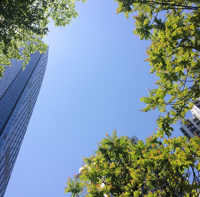 Screen Shot 2015-04-15 at 11.00.23 PM