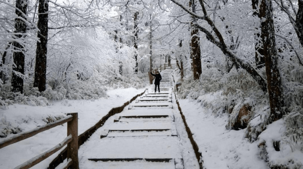 Screen Shot 2016-01-27 at 11.57.37 PM