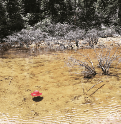 Screen Shot 2016-05-04 at 1.13.28 AM