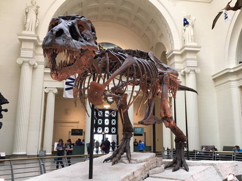 14877825_10206353101941329_739756877_n