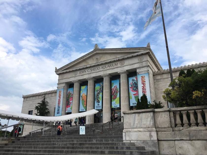 14914723_10206353101221311_1705809362_n