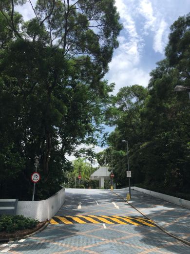 WhatsApp Image 2018-08-05 at 5.29.55 PM