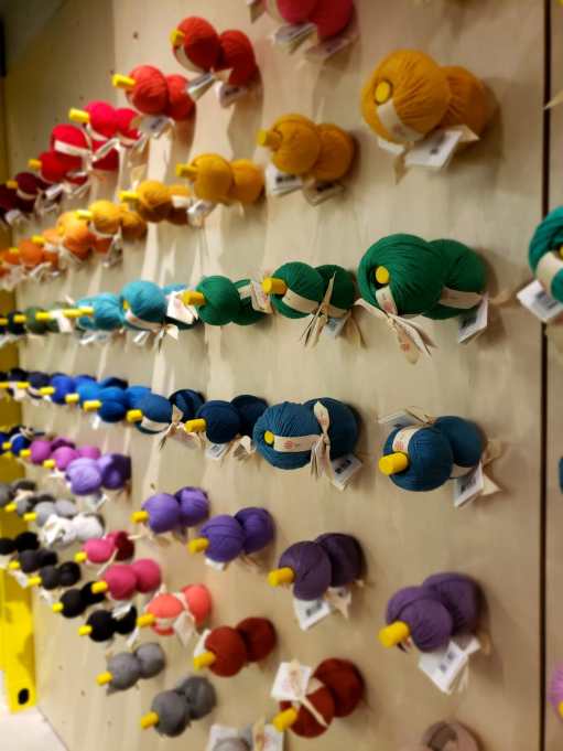 WhatsApp Image 2018-11-03 at 7.10.12 PM