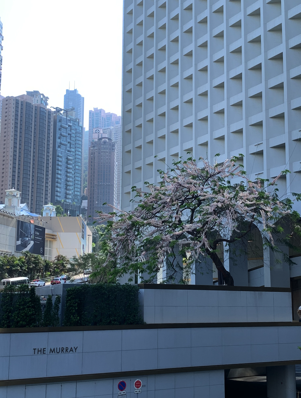 Screenshot 2020-05-03 at 9.34.17 PM