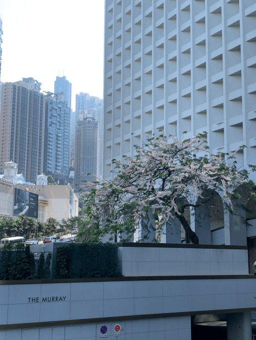 Screenshot 2020-05-03 at 9.34.17 PM