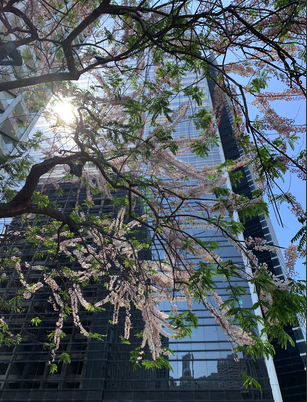 Screenshot 2020-05-03 at 9.34.22 PM